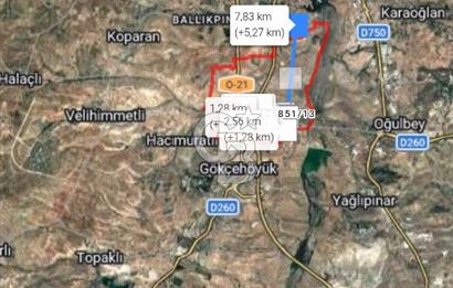 GÖLBAŞI YAVRUCUK MAHALLESİNDE TEK TAPOU 7491 M2 SATILIK TARLA