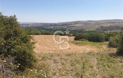 ELMADAĞ'DA 20.200 M2 DOĞA İLE İÇİÇE YATIRIMLIK ARSA