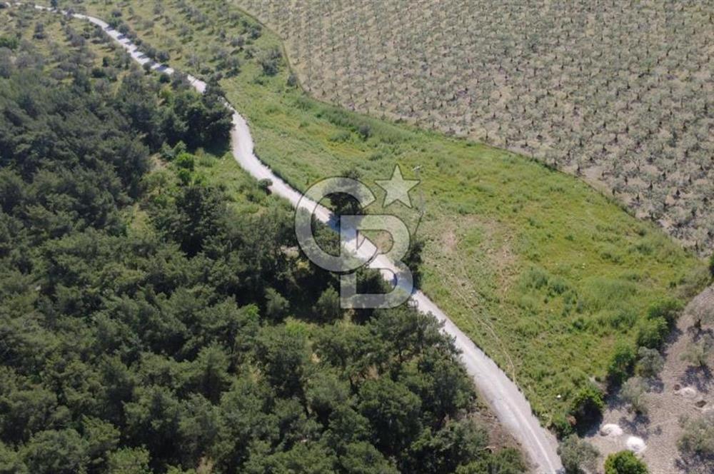 YOLA CEPHE 7000m2 TEK TAPU ARSA
