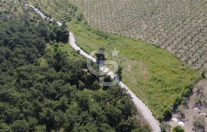 YOLA CEPHE 7000m2 TEK TAPU ARSA
