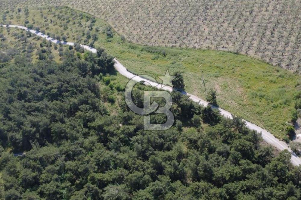 YOLA CEPHE 7000m2 TEK TAPU ARSA