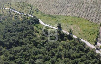 YOLA CEPHE 7000m2 TEK TAPU ARSA