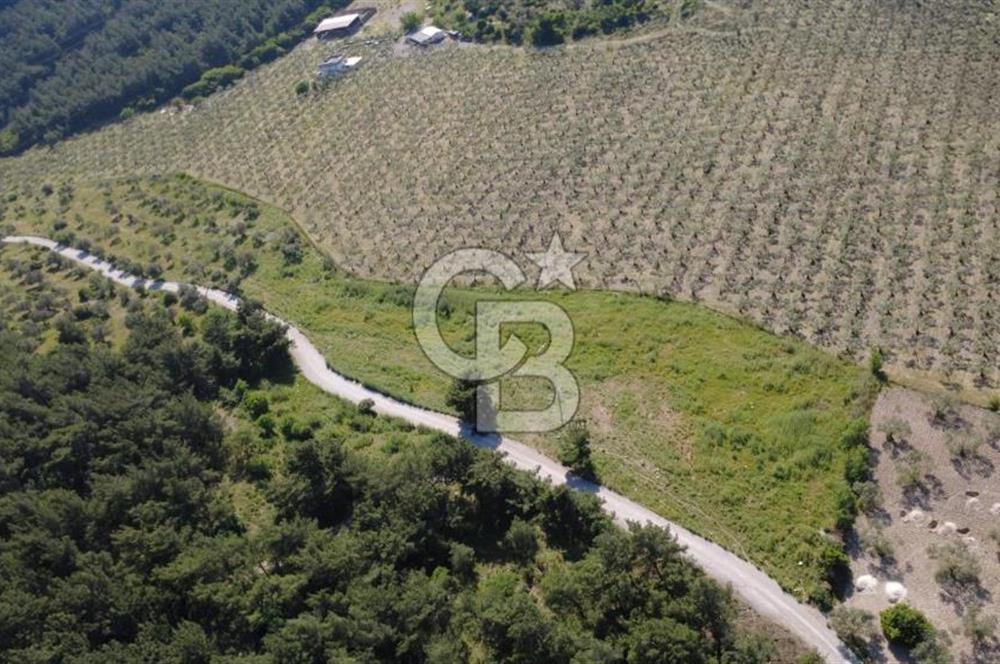 YOLA CEPHE 7000m2 TEK TAPU ARSA