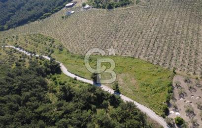 YOLA CEPHE 7000m2 TEK TAPU ARSA