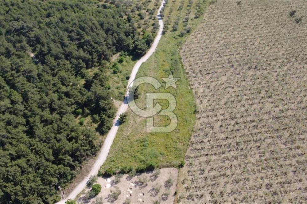 YOLA CEPHE 7000m2 TEK TAPU ARSA