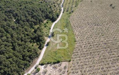 YOLA CEPHE 7000m2 TEK TAPU ARSA