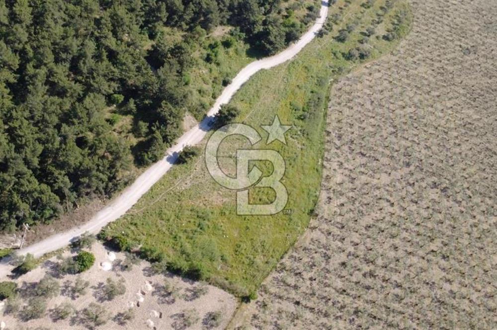 YOLA CEPHE 7000m2 TEK TAPU ARSA
