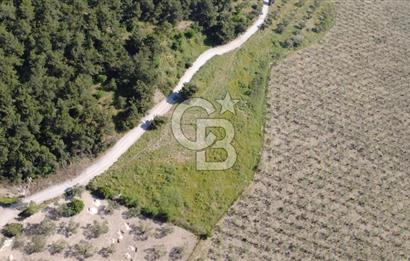 YOLA CEPHE 7000m2 TEK TAPU ARSA