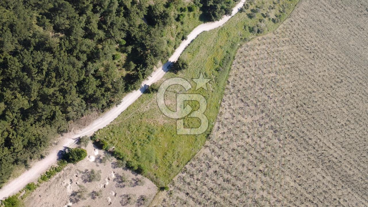 YOLA CEPHE 7000m2 TEK TAPU ARSA