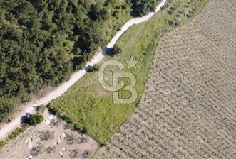 YOLA CEPHE 7000m2 TEK TAPU ARSA - 2 - 348969