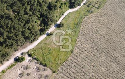 YOLA CEPHE 7000m2 TEK TAPU ARSA