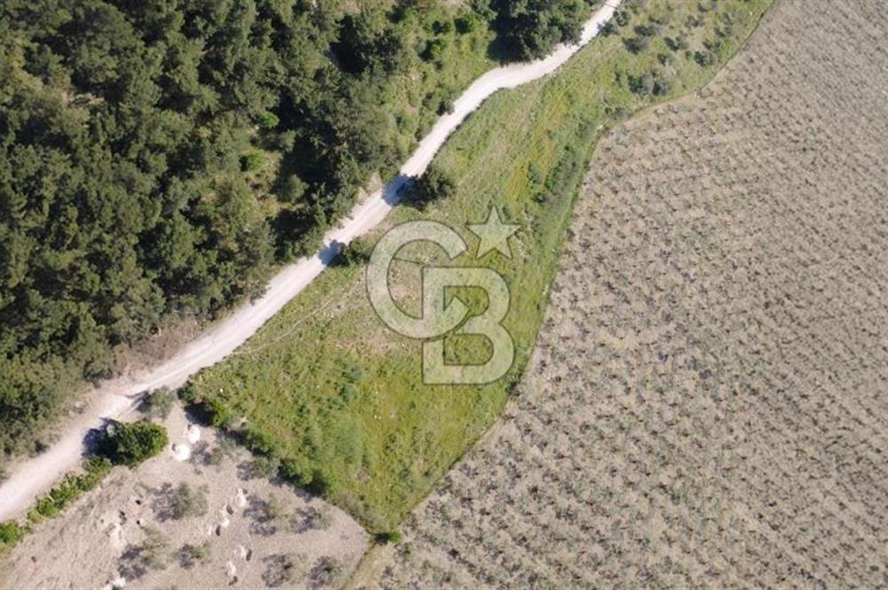 YOLA CEPHE 7000m2 TEK TAPU ARSA