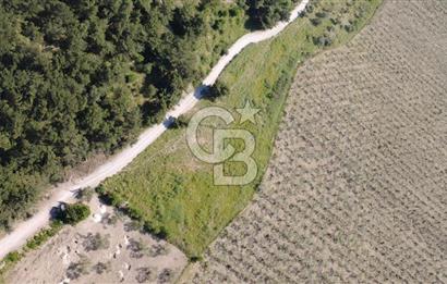 YOLA CEPHE 7000m2 TEK TAPU ARSA