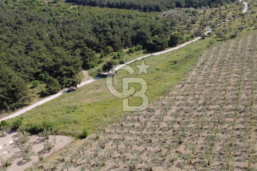 YOLA CEPHE 7000m2 TEK TAPU ARSA