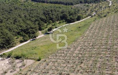 YOLA CEPHE 7000m2 TEK TAPU ARSA