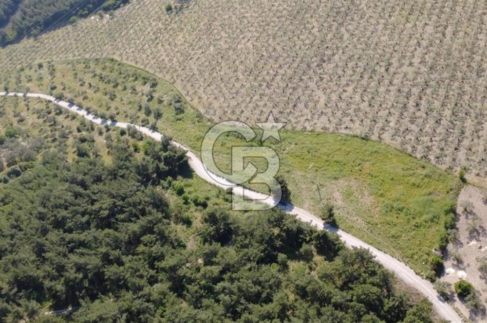 YOLA CEPHE 7000m2 TEK TAPU ARSA
