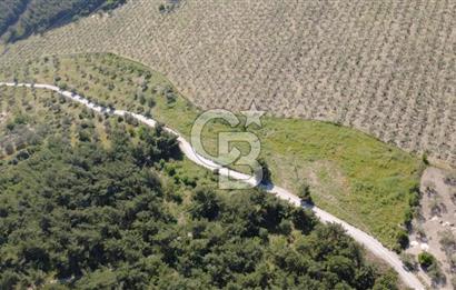 YOLA CEPHE 7000m2 TEK TAPU ARSA
