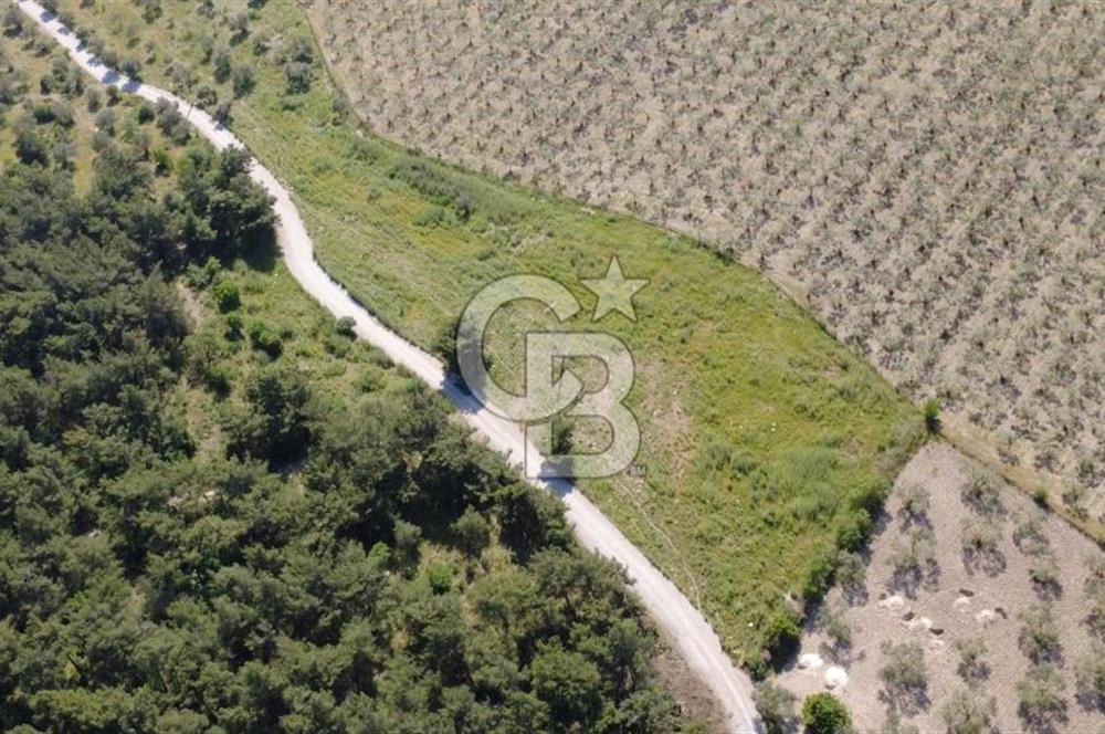 YOLA CEPHE 7000m2 TEK TAPU ARSA