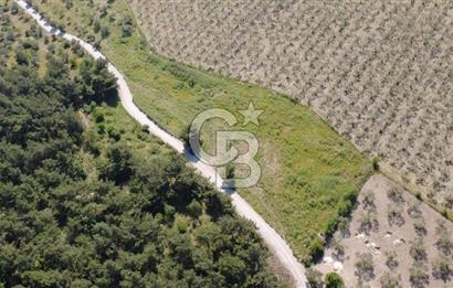 YOLA CEPHE 7000m2 TEK TAPU ARSA