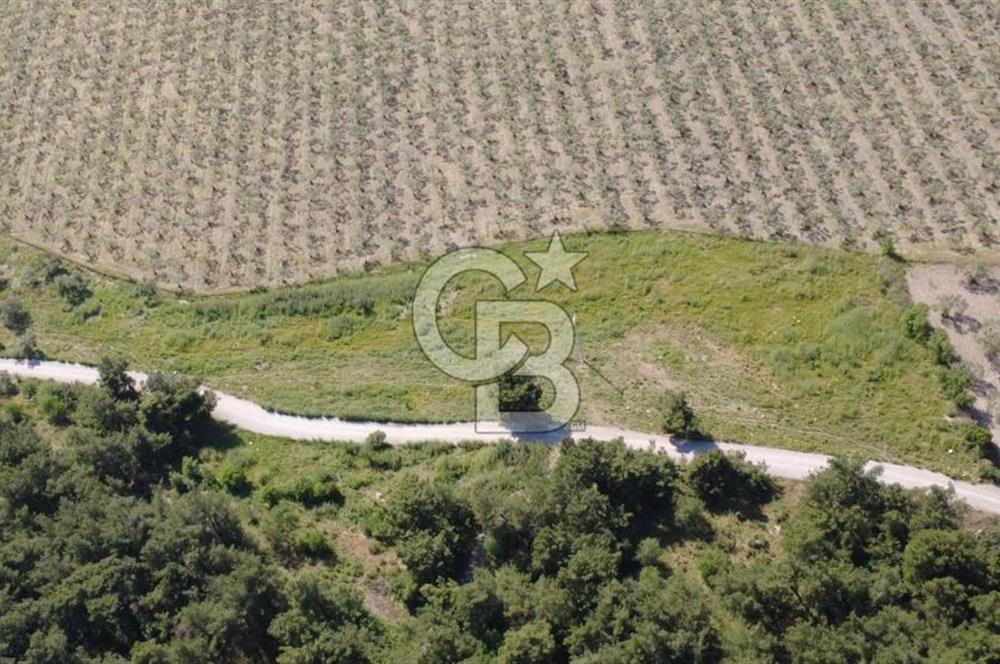 YOLA CEPHE 7000m2 TEK TAPU ARSA