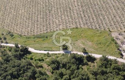 YOLA CEPHE 7000m2 TEK TAPU ARSA