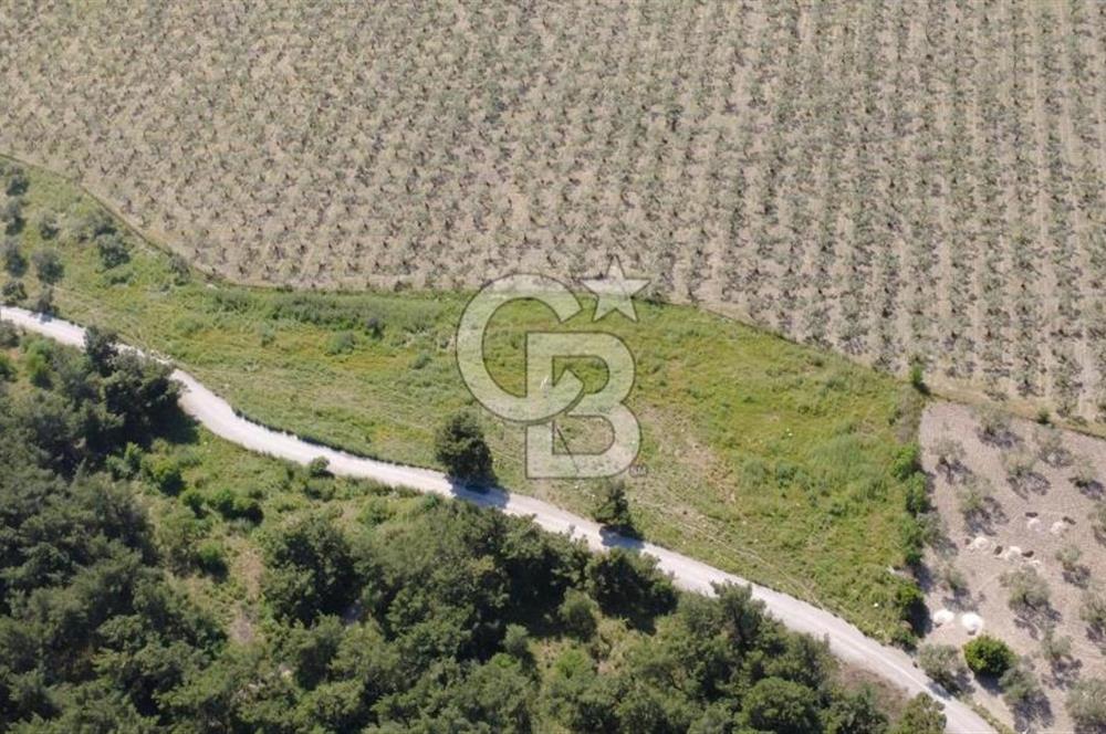 YOLA CEPHE 7000m2 TEK TAPU ARSA