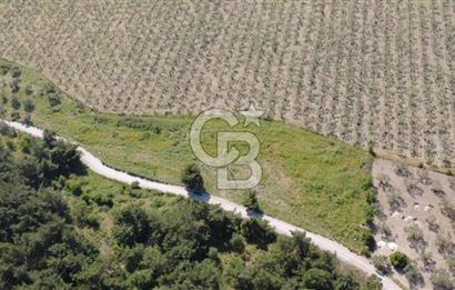 YOLA CEPHE 7000m2 TEK TAPU ARSA