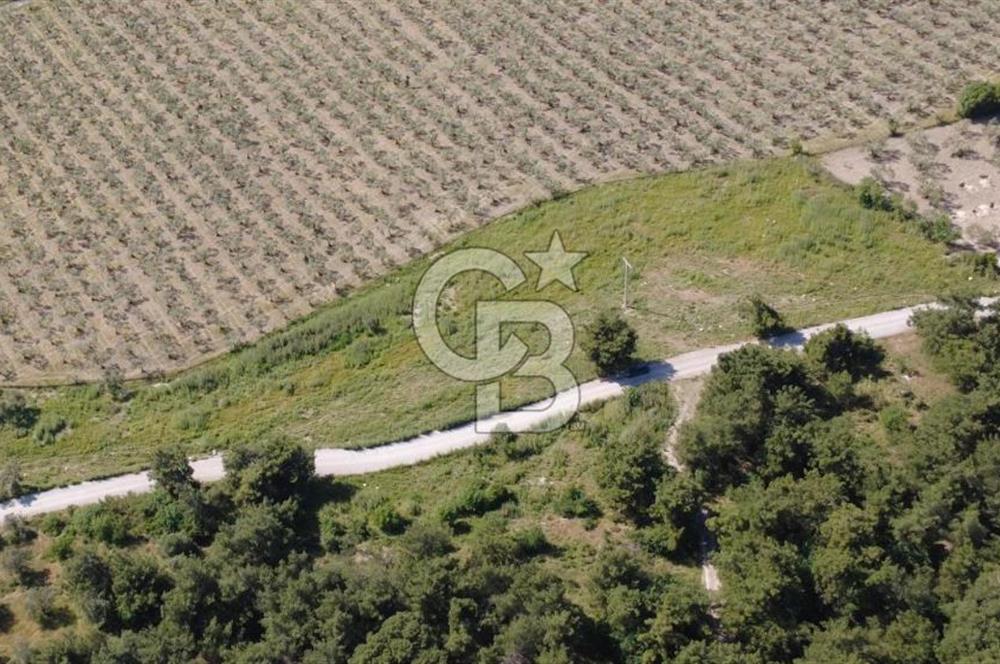 YOLA CEPHE 7000m2 TEK TAPU ARSA