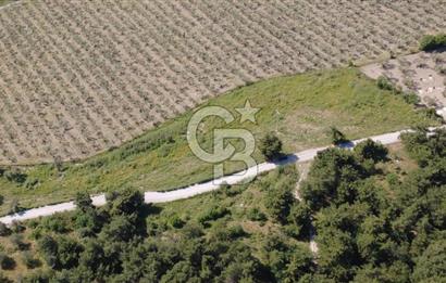 YOLA CEPHE 7000m2 TEK TAPU ARSA