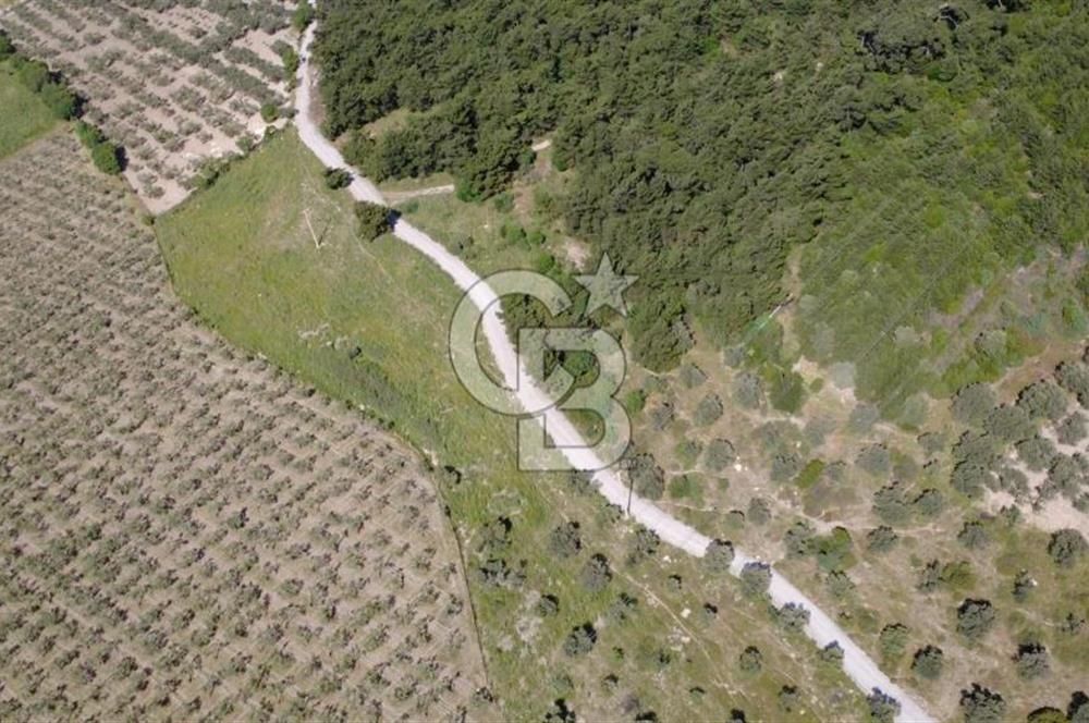 YOLA CEPHE 7000m2 TEK TAPU ARSA