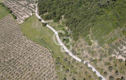 YOLA CEPHE 7000m2 TEK TAPU ARSA