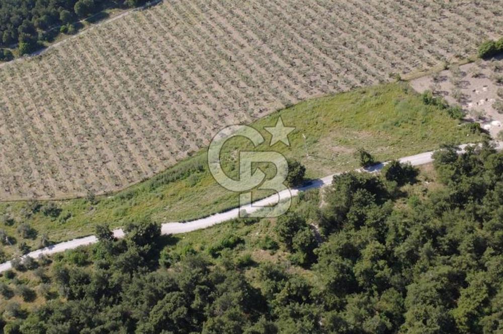 YOLA CEPHE 7000m2 TEK TAPU ARSA