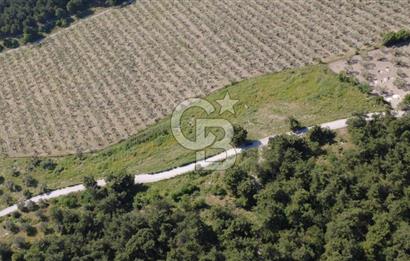 YOLA CEPHE 7000m2 TEK TAPU ARSA