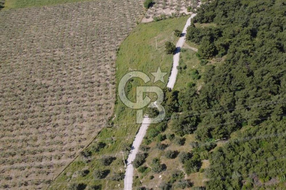 YOLA CEPHE 7000m2 TEK TAPU ARSA