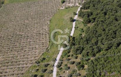 YOLA CEPHE 7000m2 TEK TAPU ARSA