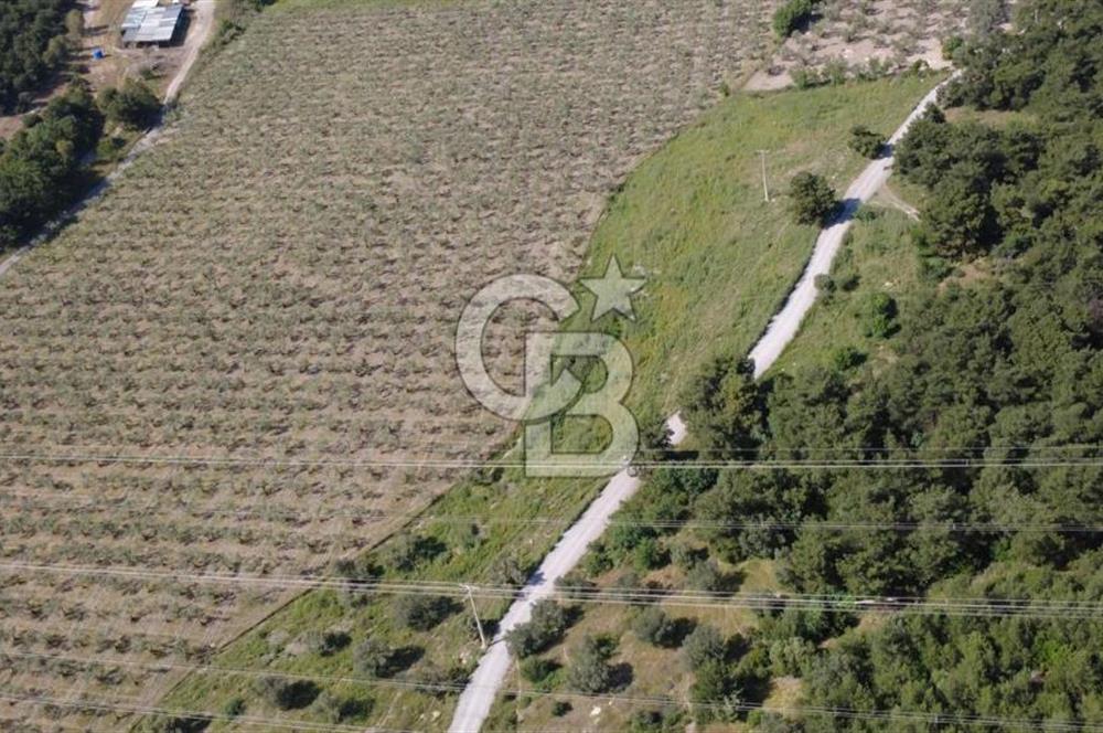 YOLA CEPHE 7000m2 TEK TAPU ARSA