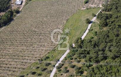 YOLA CEPHE 7000m2 TEK TAPU ARSA