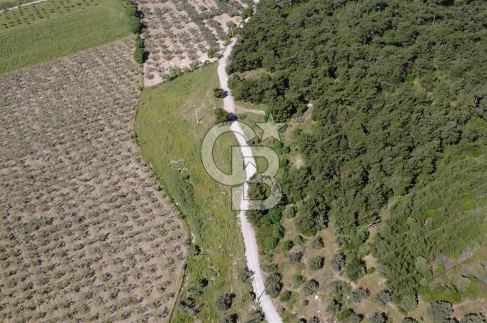YOLA CEPHE 7000m2 TEK TAPU ARSA