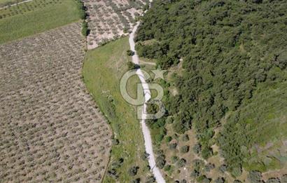 YOLA CEPHE 7000m2 TEK TAPU ARSA