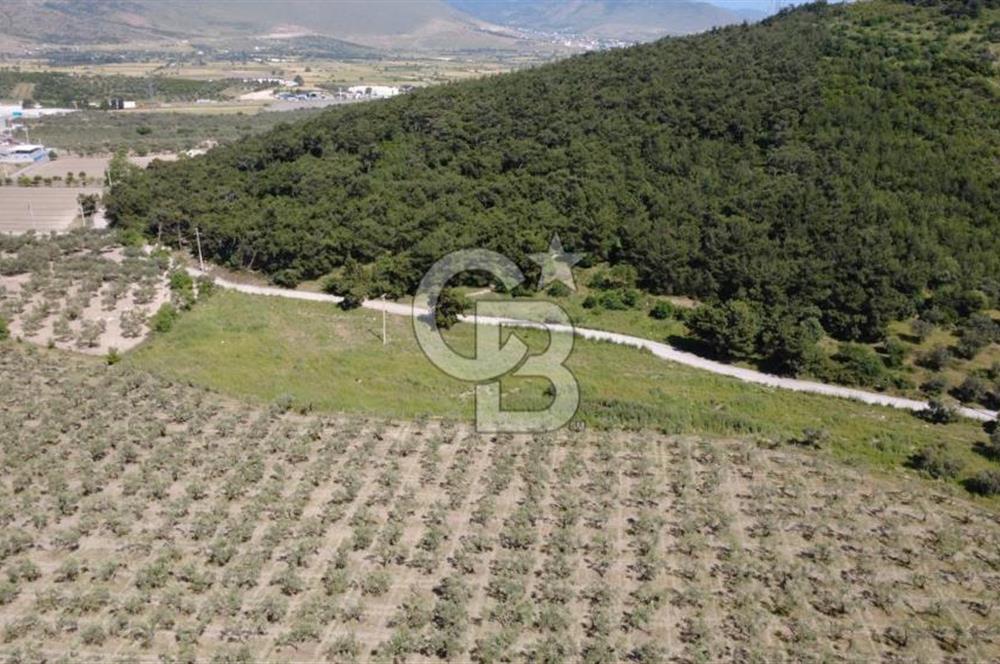 YOLA CEPHE 7000m2 TEK TAPU ARSA