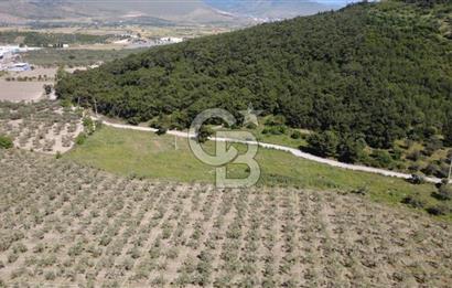 YOLA CEPHE 7000m2 TEK TAPU ARSA