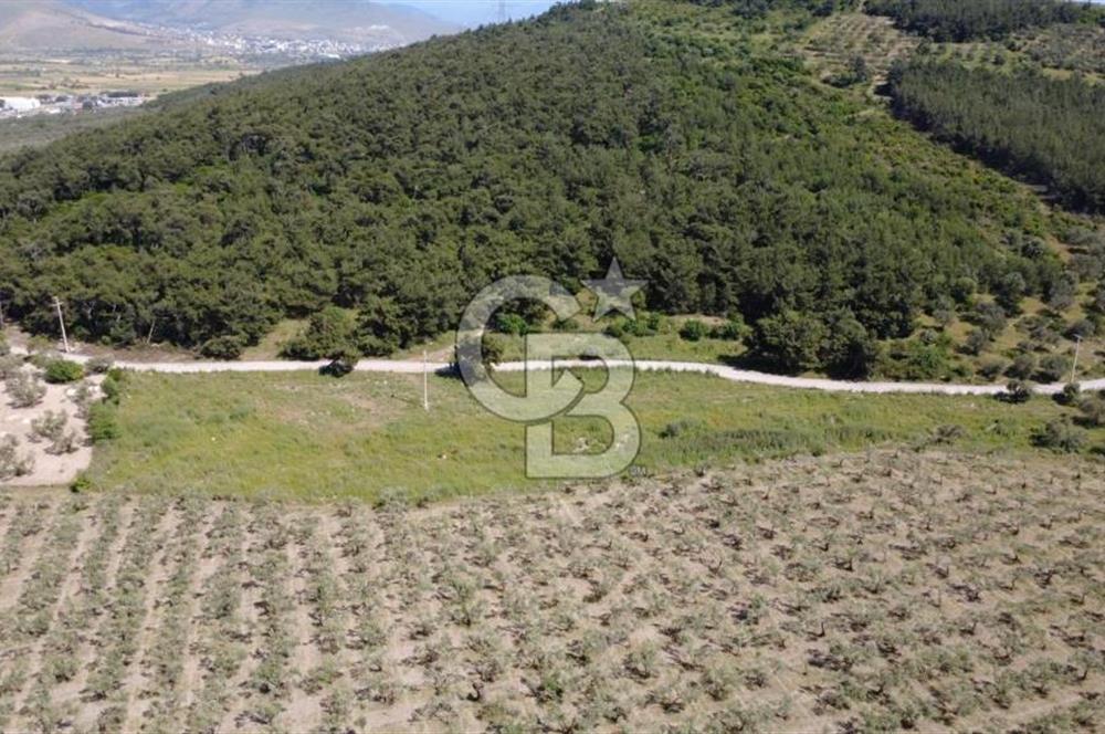 YOLA CEPHE 7000m2 TEK TAPU ARSA
