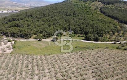 YOLA CEPHE 7000m2 TEK TAPU ARSA