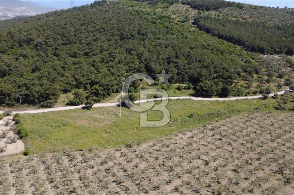 YOLA CEPHE 7000m2 TEK TAPU ARSA