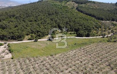 YOLA CEPHE 7000m2 TEK TAPU ARSA