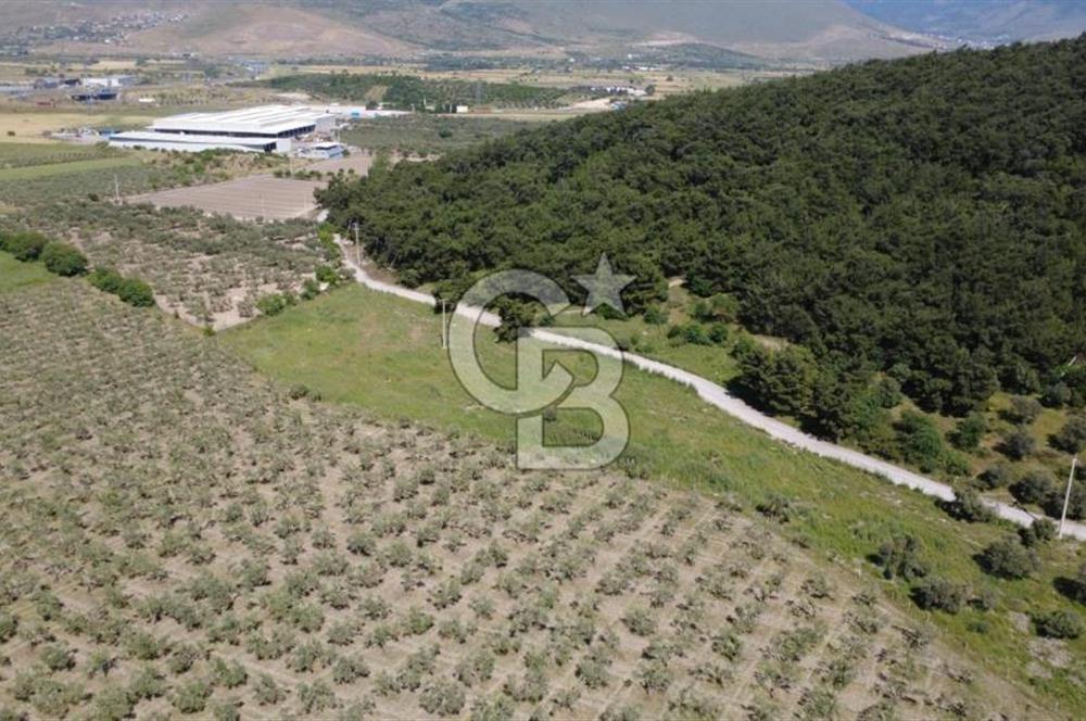 YOLA CEPHE 7000m2 TEK TAPU ARSA