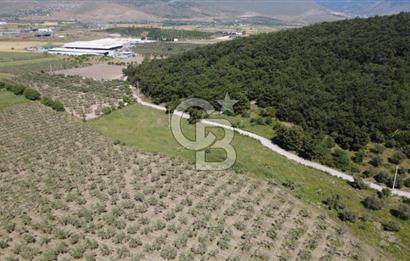 YOLA CEPHE 7000m2 TEK TAPU ARSA