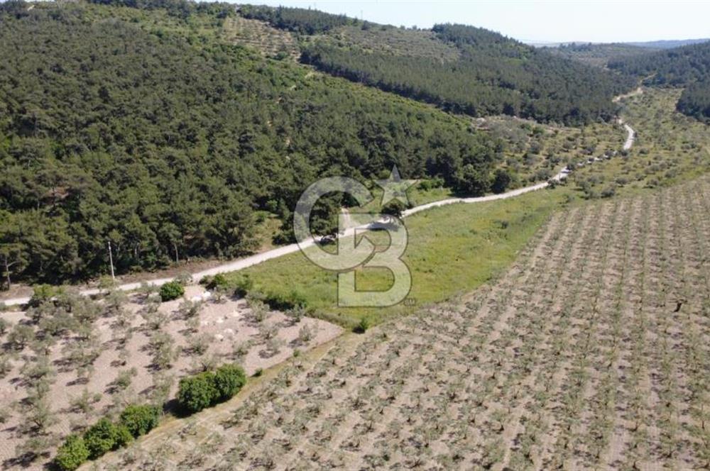 YOLA CEPHE 7000m2 TEK TAPU ARSA