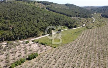 YOLA CEPHE 7000m2 TEK TAPU ARSA