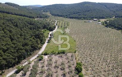 YOLA CEPHE 7000m2 TEK TAPU ARSA